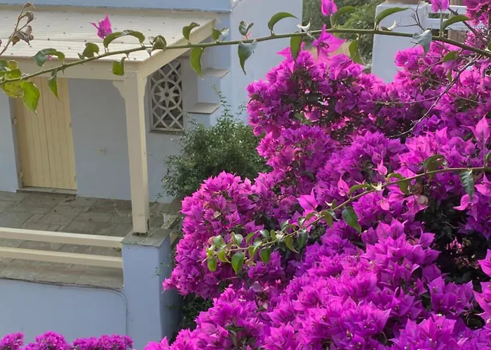 Helios Panormos * Planitis (Tinos)